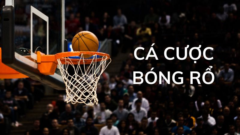 Bóng rổ là gì? Bóng rổ là gì?