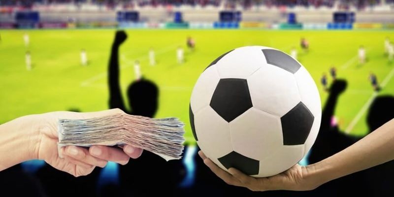 Cần quan sát trước khi cược Cần quan sát trước khi cược